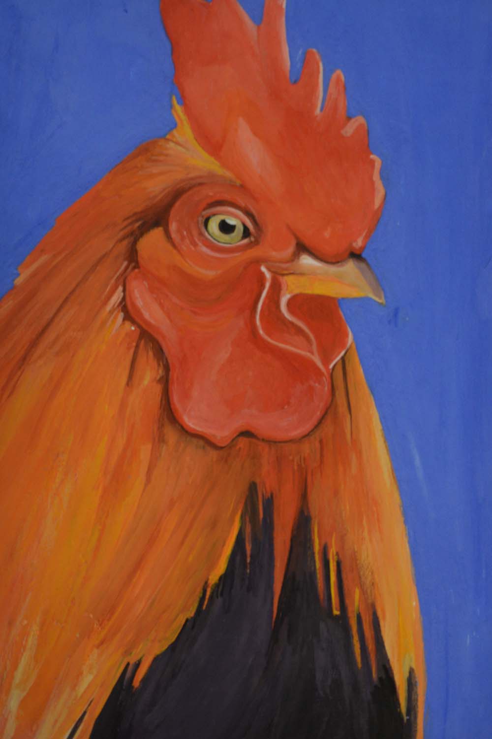 Il gallo - Opera di Anna Maria Broggi illustratrice