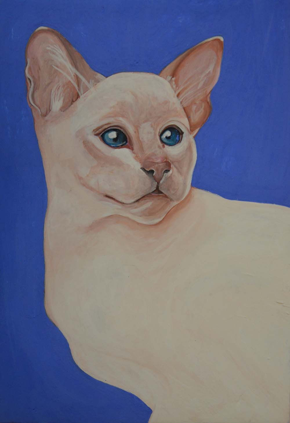 Il gatto bianco - Opera di Anna Maria Broggi illustratrice