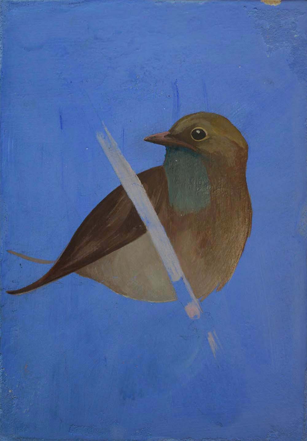 Uccellino - Opera di Anna Maria Broggi illustratrice